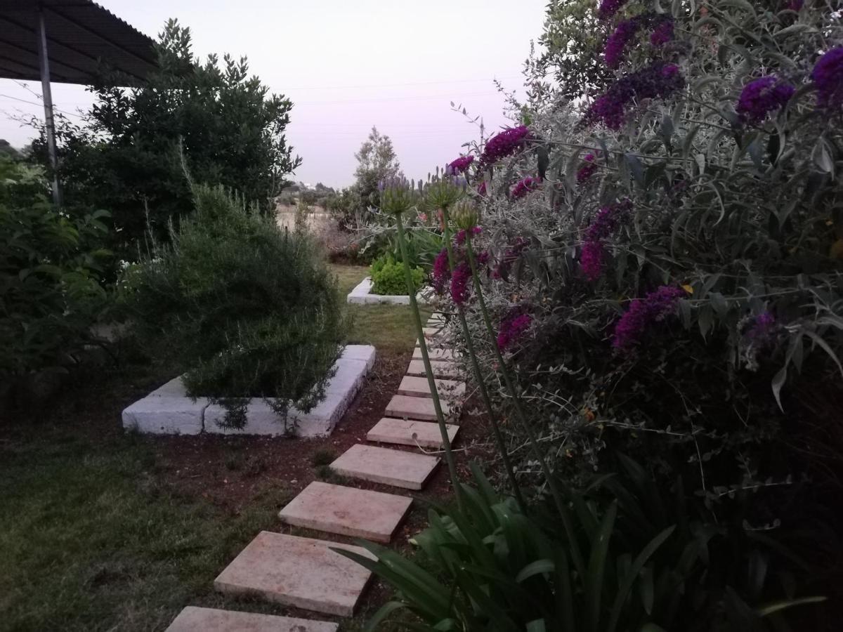 Il Rifugio In Valle D'Itria لوكوروتوندو المظهر الخارجي الصورة